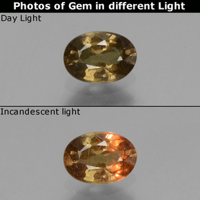 0.62 ct Multicolor Color-Change Garnet Gemstone, Color-Change Garnet Gem in Oval Facet Shape for Sale.