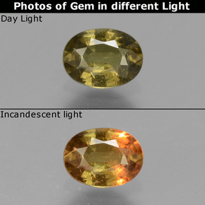 0.73 ct Multicolor Color-Change Garnet Gemstone, Color-Change Garnet Gem in Oval Facet Shape for Sale.
