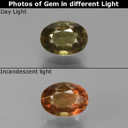 Granato cangiante 5,9 x 4,3mm giallo Ovale sfaccettato dalla Tanzania, peso di 0,69 ct, gemma naturale non trattati in purezza VS, 1 pezzo Granato cangiante - Colore: Giallo dorato, durezza Mohs di 6,5 - 7,5 adatto per gioielli da indossare ogni giorno, Photo A
