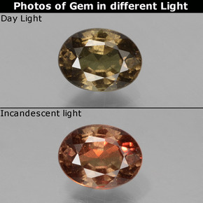 0.89 ct Brown Color-Change Garnet Gemstone, Color-Change Garnet Gem in Oval Facet Shape for Sale.