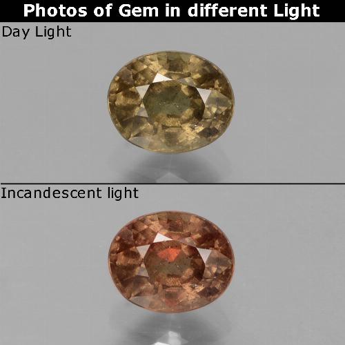 Marrón oscuro Granate con Cambio de Color Gema - 0.8ct Forma ovalada (ID: 429110)