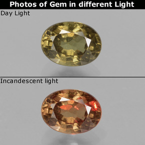 0.94 ct Multicolor Color-Change Garnet Gemstone, Color-Change Garnet Gem in Oval Facet Shape for Sale.