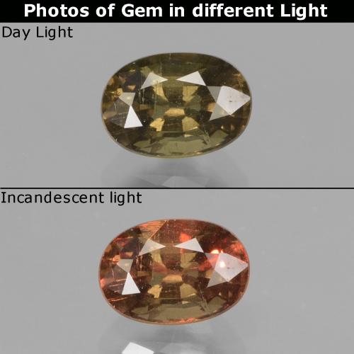 Dark Brown Color-Change Garnet Gem - 1ct Oval Facet (ID: 429112)