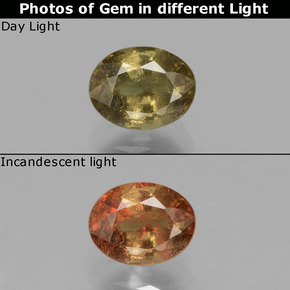 0.80 ct Brown Color-Change Garnet Gemstone, Color-Change Garnet Gem in Oval Facet Shape for Sale.