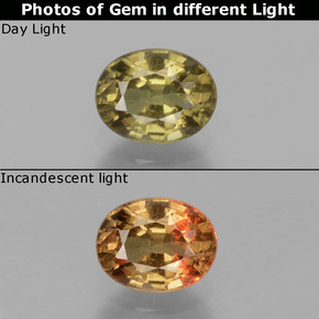 0.80 ct Color-Change Color-Change Garnet Gemstone, Color-Change Garnet Gem in Oval Facet Shape for Sale.