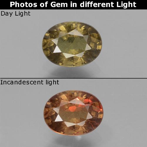 Umber Brown Color-Change Garnet Gem - 0.9ct Oval Facet (ID: 429116)