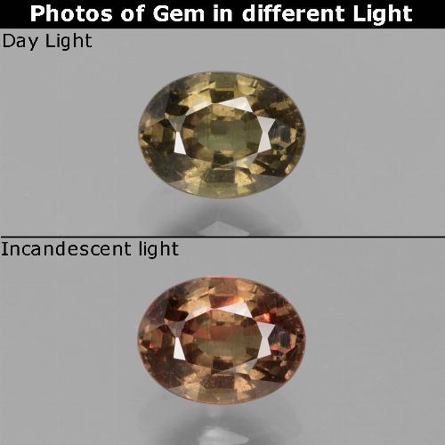 Granato cangiante Ovale sfaccettato da 0,74 ct dalla Tanzania, dimensione 5,8 x 4,4mm, purezza VS, pietra preziosa naturale non trattati, Granato cangiante 1pc in colore Marrone scuro, durezza Mohs di 6,5 - 7,5 adatto per gioielli da indossare ogni giorno, Photo A