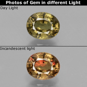 Marrón oscuro medio Granate con Cambio de Color Gema - 0.9ct Forma ovalada (ID: 429118)