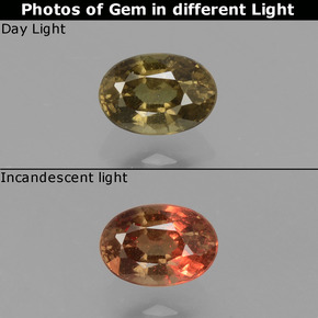 0.75 ct Multicolor Color-Change Garnet Gemstone, Color-Change Garnet Gem in Oval Facet Shape for Sale.
