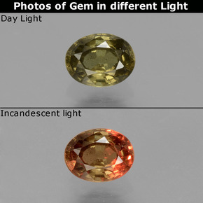 0.6ct Oval Facet Greenish Brown To Red Pink Color-Change Garnet for sale thumb image of 0.6ct Oval Facet Greenish Brown To Red Pink Color-Change Garnet (ID: 429265)