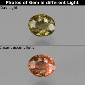 0.6ct Oval Facet Greenish Brown To Red Pink Color-Change Garnet for sale thumb image of 0.6ct Oval Facet Greenish Brown To Red Pink Color-Change Garnet (ID: 429266)