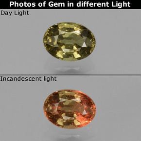 Dorado verdoso Granate con Cambio de Color Gema - 0.5ct Forma ovalada (ID: 429268)