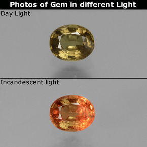 0.48 ct Multicolor Color-Change Garnet Gemstone, Color-Change Garnet Gem in Oval Facet Shape for Sale.