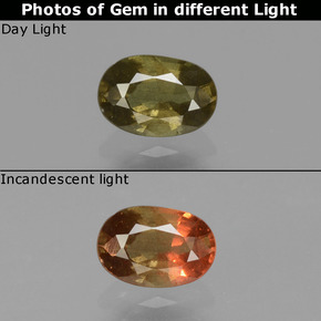 0.62 ct Color-Change Color-Change Garnet Gemstone, Color-Change Garnet Gem in Oval Facet Shape for Sale.