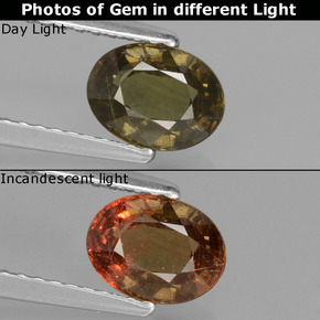 1.14 ct Multicolor Color-Change Garnet Gemstone, Color-Change Garnet Gem in Oval Facet Shape for Sale.