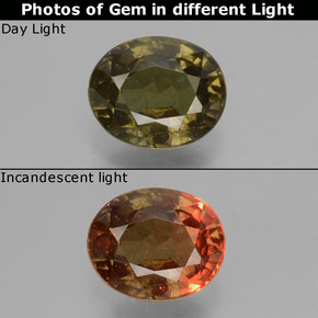 1.51 ct Color-Change Color-Change Garnet Gemstone, Color-Change Garnet Gem in Oval Facet Shape for Sale.