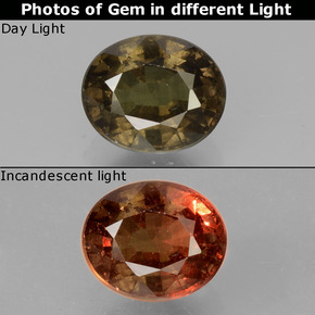 1.86 ct Color-Change Color-Change Garnet Gemstone, Color-Change Garnet Gem in Oval Facet Shape for Sale.