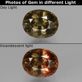 1.73 ct Multicolor Color-Change Garnet Gemstone, Color-Change Garnet Gem in Oval Facet Shape for Sale.
