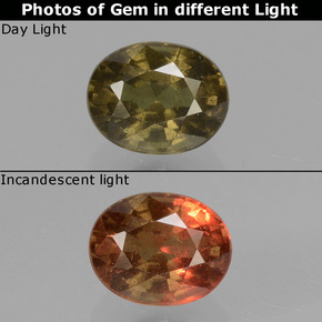 1.36 ct Multicolor Color-Change Garnet Gemstone, Color-Change Garnet Gem in Oval Facet Shape for Sale.