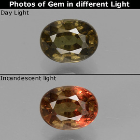1.13 ct Color-Change Color-Change Garnet Gemstone, Color-Change Garnet Gem in Oval Facet Shape for Sale.