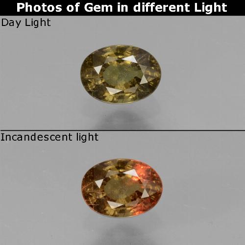 Dark Brown Color-Change Garnet Gem - 0.5ct Oval Facet (ID: 429335)