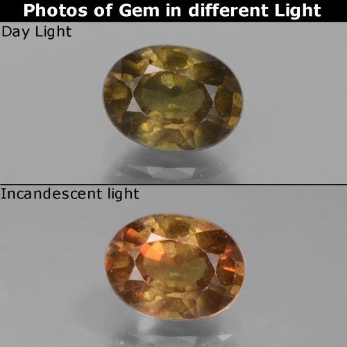 Темно-коричневый Гранат, Меняющий Цвет Камень - 1.3ct Фасетный Овал (ID: 429480)