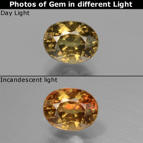 Marrone dorato verdastro Granato cangiante Gem - 1.3ct Ovale sfaccettato (ID: 429484)