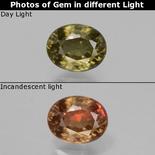 Medium-Dark Brown Farbwechselnder Granat Edelstein - 0.8ct Oval facettiert (ID: 429486)