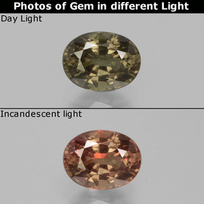 Marrón oscuro Granate con Cambio de Color Gema - 1ct Forma ovalada (ID: 429487)