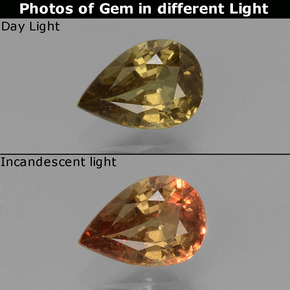 0.6ct Pear Facet Greenish Brown To Red Pink Color-Change Garnet for sale thumb image of 0.6ct Pear Facet Greenish Brown To Red Pink Color-Change Garnet (ID: 429579)