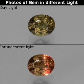 0.58 ct Multicolor Color-Change Garnet Gemstone, Color-Change Garnet Gem in Oval Facet Shape for Sale.
