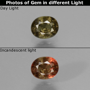 0.53 ct Multicolor Color-Change Garnet Gemstone, Color-Change Garnet Gem in Oval Facet Shape for Sale.