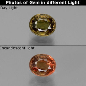 0.91 ct Multicolor Color-Change Garnet Gemstone, Color-Change Garnet Gem in Oval Facet Shape for Sale.