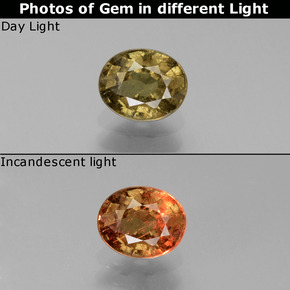 0.68 ct Multicolor Color-Change Garnet Gemstone, Color-Change Garnet Gem in Oval Facet Shape for Sale.
