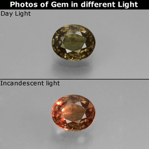 0.60 ct Color-Change Color-Change Garnet Gemstone, Color-Change Garnet Gem in Oval Facet Shape for Sale.