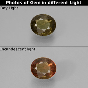 0.49 ct Multicolor Color-Change Garnet Gemstone, Color-Change Garnet Gem in Oval Facet Shape for Sale.