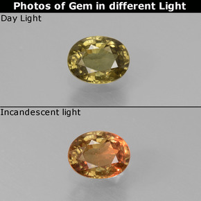 0.59 ct Color-Change Color-Change Garnet Gemstone, Color-Change Garnet Gem in Oval Facet Shape for Sale.