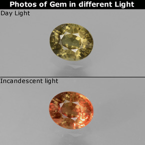 0.66 ct Multicolor Color-Change Garnet Gemstone, Color-Change Garnet Gem in Oval Facet Shape for Sale.
