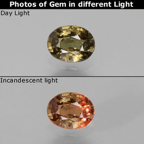 Medium-Dark Brown Color-Change Garnet Gem - 0.8ct Oval Facet (ID: 444490)