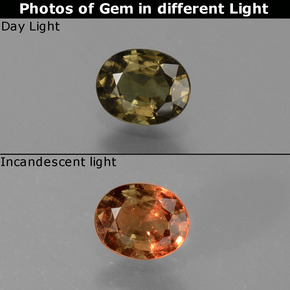 0.70 ct Multicolor Color-Change Garnet Gemstone, Color-Change Garnet Gem in Oval Facet Shape for Sale.