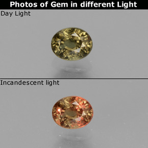 0.62 ct Color-Change Color-Change Garnet Gemstone, Color-Change Garnet Gem in Oval Facet Shape for Sale.