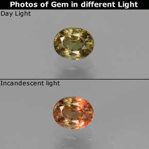0.55 ct Multicolor Color-Change Garnet Gemstone, Color-Change Garnet Gem in Oval Facet Shape for Sale.