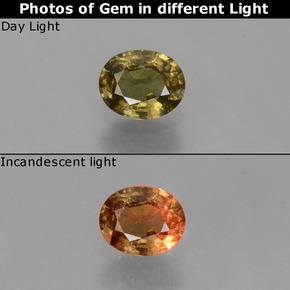 0.57 ct Multicolor Color-Change Garnet Gemstone, Color-Change Garnet Gem in Oval Facet Shape for Sale.