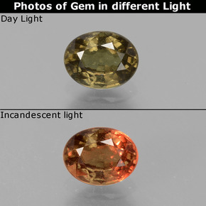 1.04 ct Color-Change Color-Change Garnet Gemstone, Color-Change Garnet Gem in Oval Facet Shape for Sale.