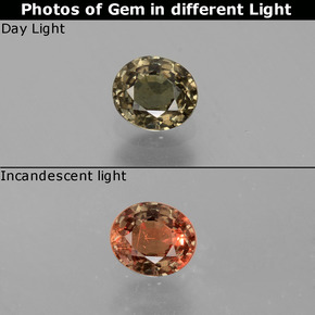 0.53 ct Multicolor Color-Change Garnet Gemstone, Color-Change Garnet Gem in Oval Facet Shape for Sale.