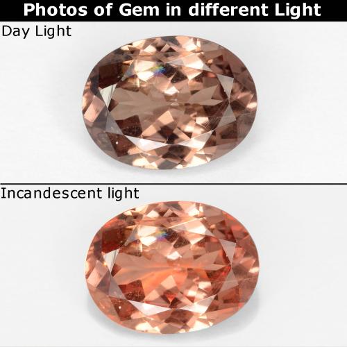 Темно-коричневый Гранат, Меняющий Цвет Камень - 1.6ct Фасетный Овал (ID: 545329)