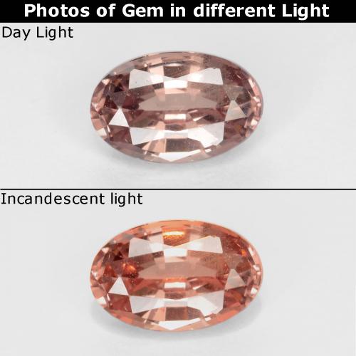 Medium Light Brown Гранат, Меняющий Цвет Камень - 0.6ct Фасетный Овал (ID: 545899)