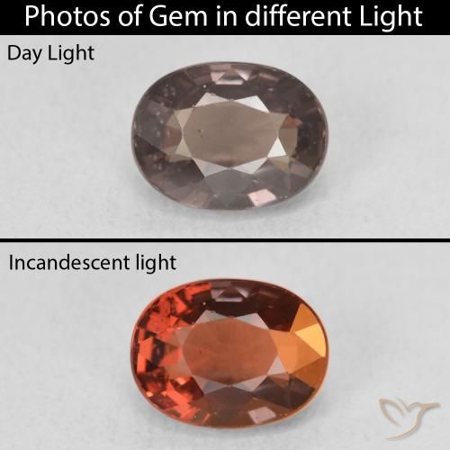 1.58ct Natural Medium Light Brown Color-Change Garnet, Oval, VVS-VS
