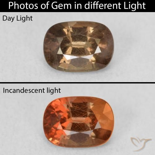 1.08ct Natural Dark Brown Color-Change Garnet, Oval, VS