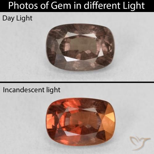 1.58ct Natural Medium Light Brown Color-Change Garnet, Cushion, VS